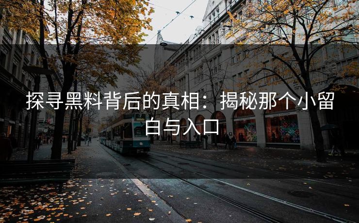 探寻黑料背后的真相：揭秘那个小留白与入口
