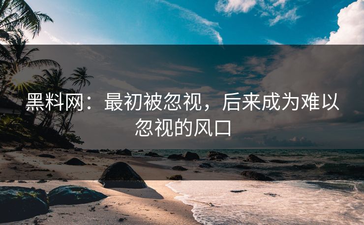 黑料网：最初被忽视，后来成为难以忽视的风口