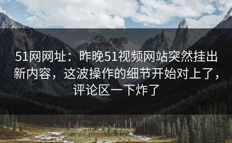 51网网址：昨晚51视频网站突然挂出新内容，这波操作的细节开始对上了，评论区一下炸了