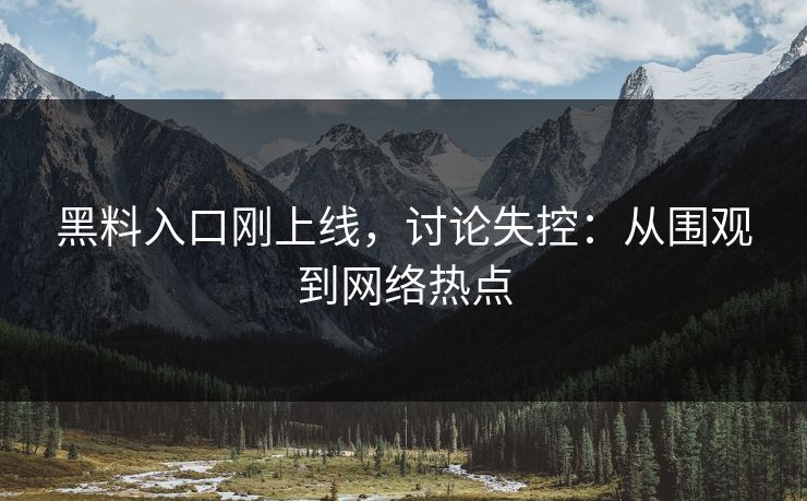 黑料入口刚上线，讨论失控：从围观到网络热点