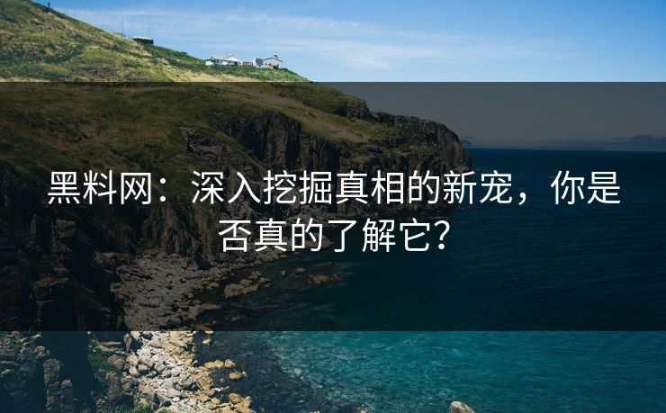 黑料网：深入挖掘真相的新宠，你是否真的了解它？