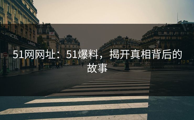 51网网址：51爆料，揭开真相背后的故事